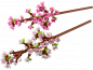 Preview: LEGO® Creator 40725 Kirschblüten [neu]