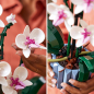 Preview: LEGO® Icons (Creator Expert) 10311 Orchidee [neu]