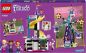 Preview: LEGO Friends 41689 Magisches Riesenrad mit Rutsche [neu]