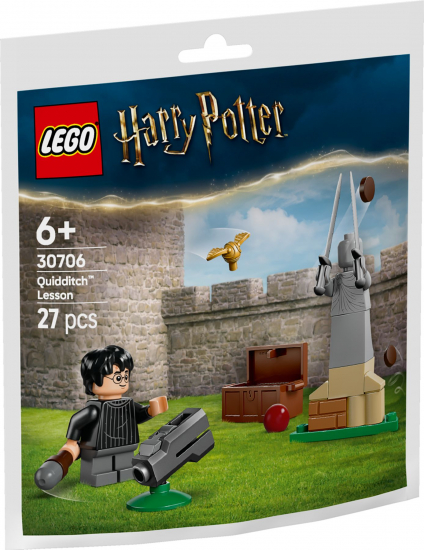 LEGO® Harry Potter 30706 Quidditch™ Training [neu]