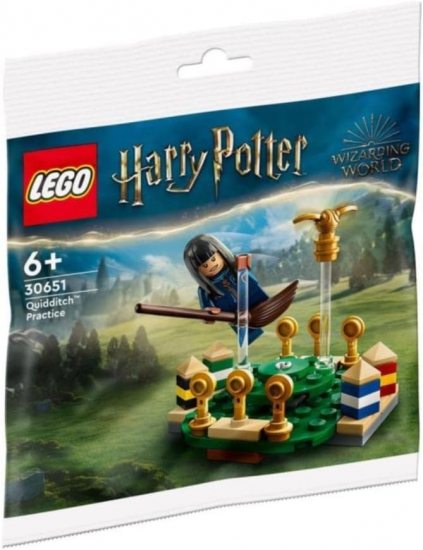 LEGO® Harry Potter 30651 Quidditch™ Training [neu]