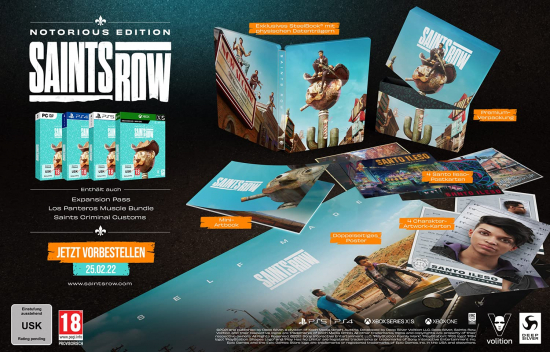 Saints Row Notorious Edition [uncut] (deutsch) (AT PEGI) (XBOX ONE / XBOX Series X) inkl. IDOLS ANARCHY PACK