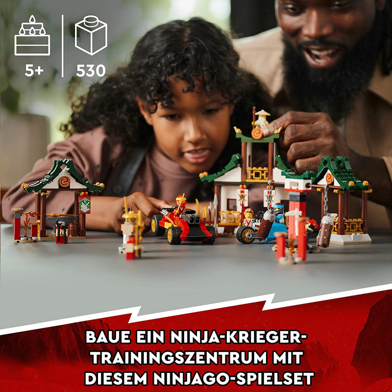 LEGO® Ninjago 71787 Kreative Ninja Steinebox [neu]