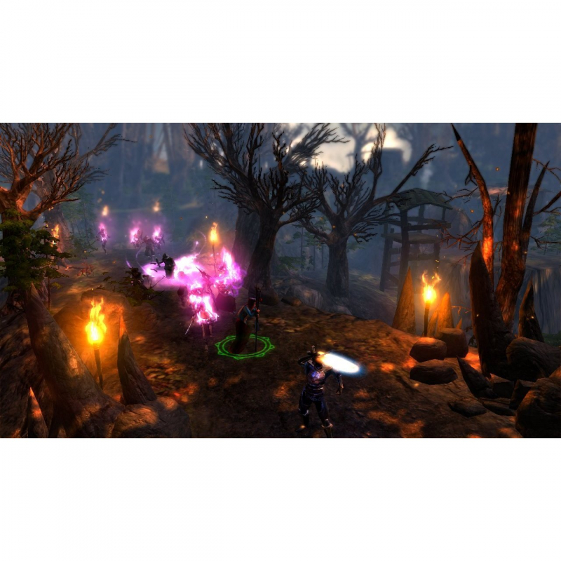 Dungeon Siege III - Limited Edition (deutsch) (PC)