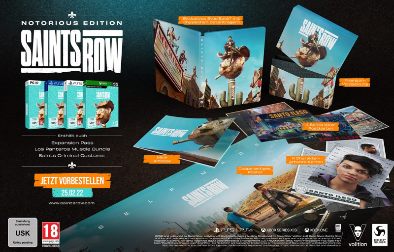 Saints Row Notorious Edition [uncut] (deutsch) (AT PEGI) (XBOX ONE / XBOX Series X) inkl. IDOLS ANARCHY PACK
