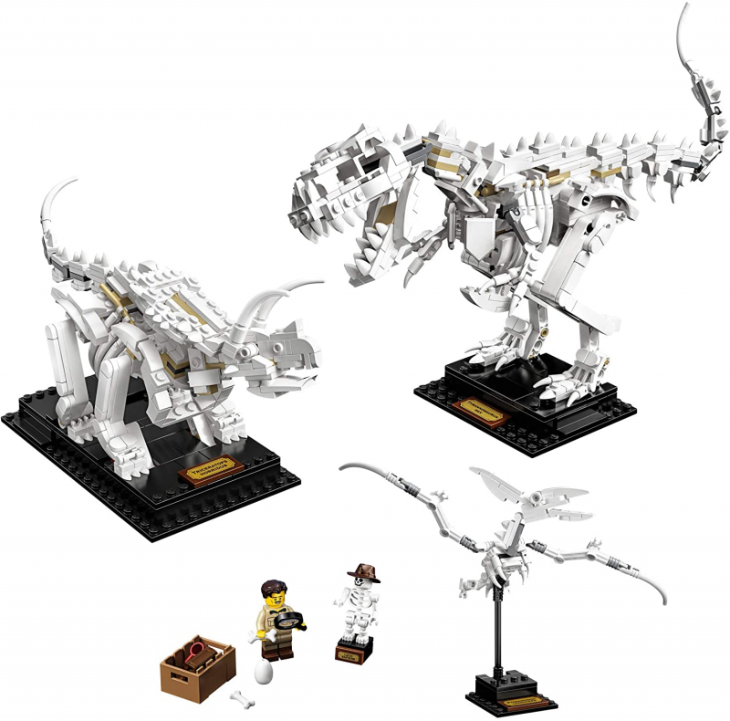LEGO Ideas 21320 Dinosaurier-Fossilien [neu]