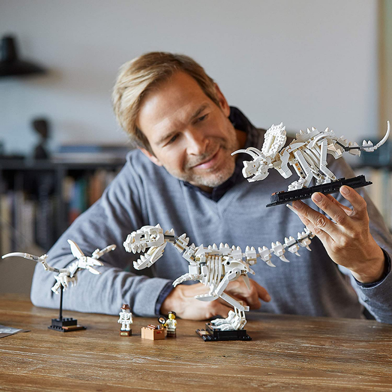 LEGO Ideas 21320 Dinosaurier-Fossilien [neu]