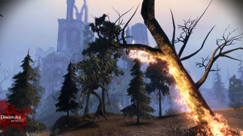 Dragon Age: Origins - Awakening (Add-on) (englisch) (EU BBFC) (PC)